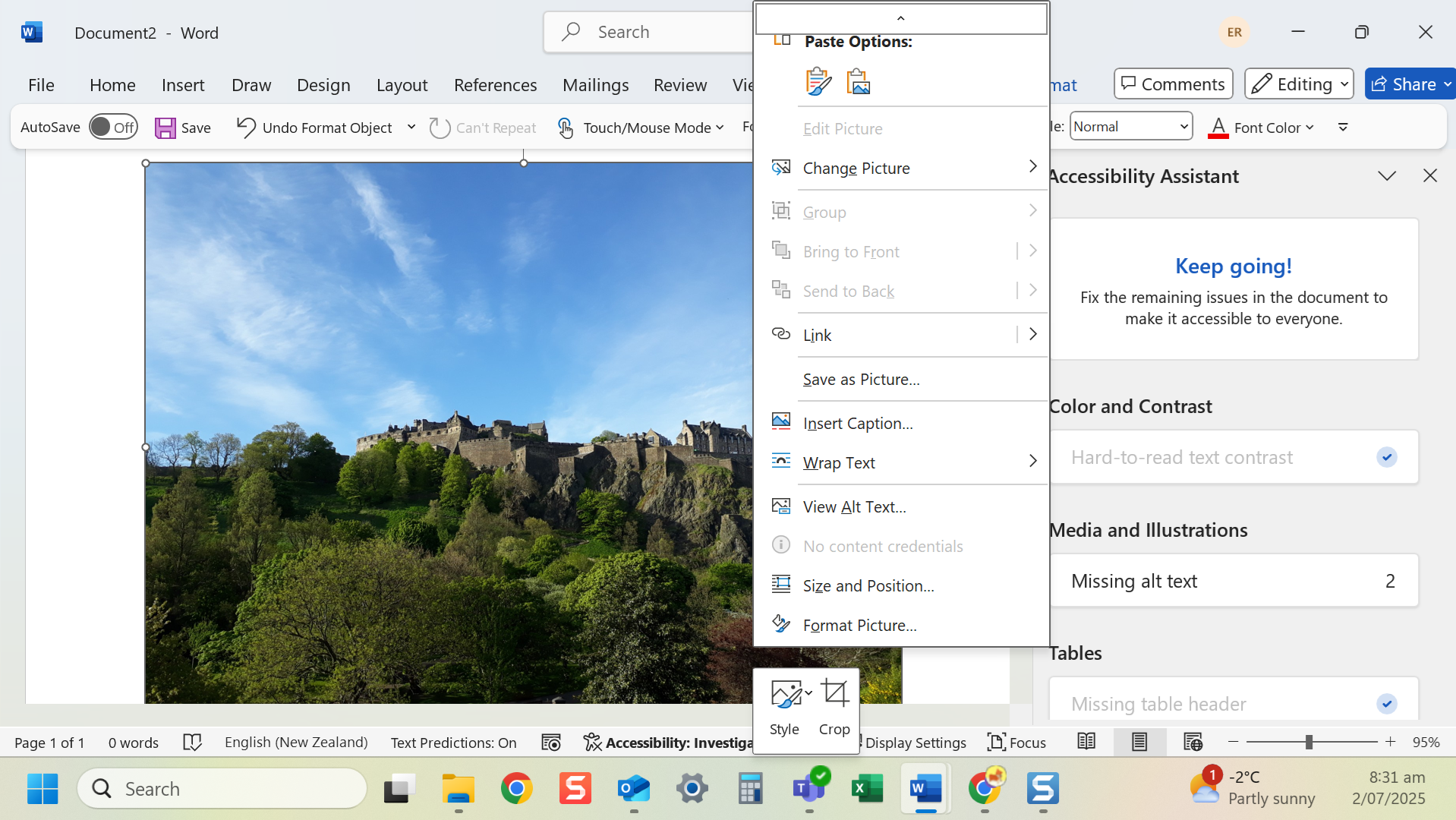 Select 'View Alt Text'