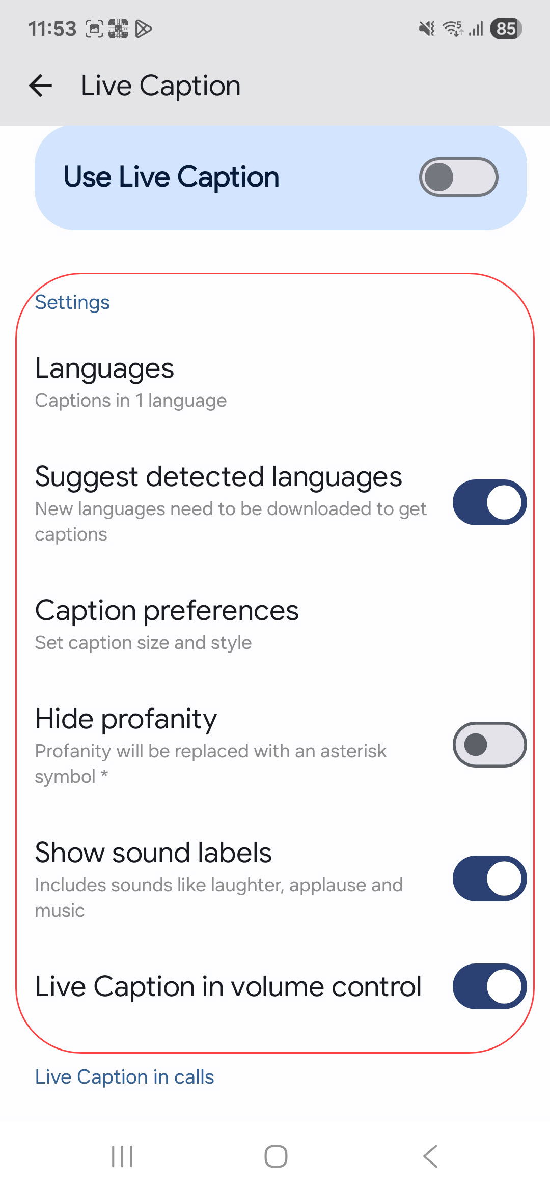 Adjust Live Caption settings