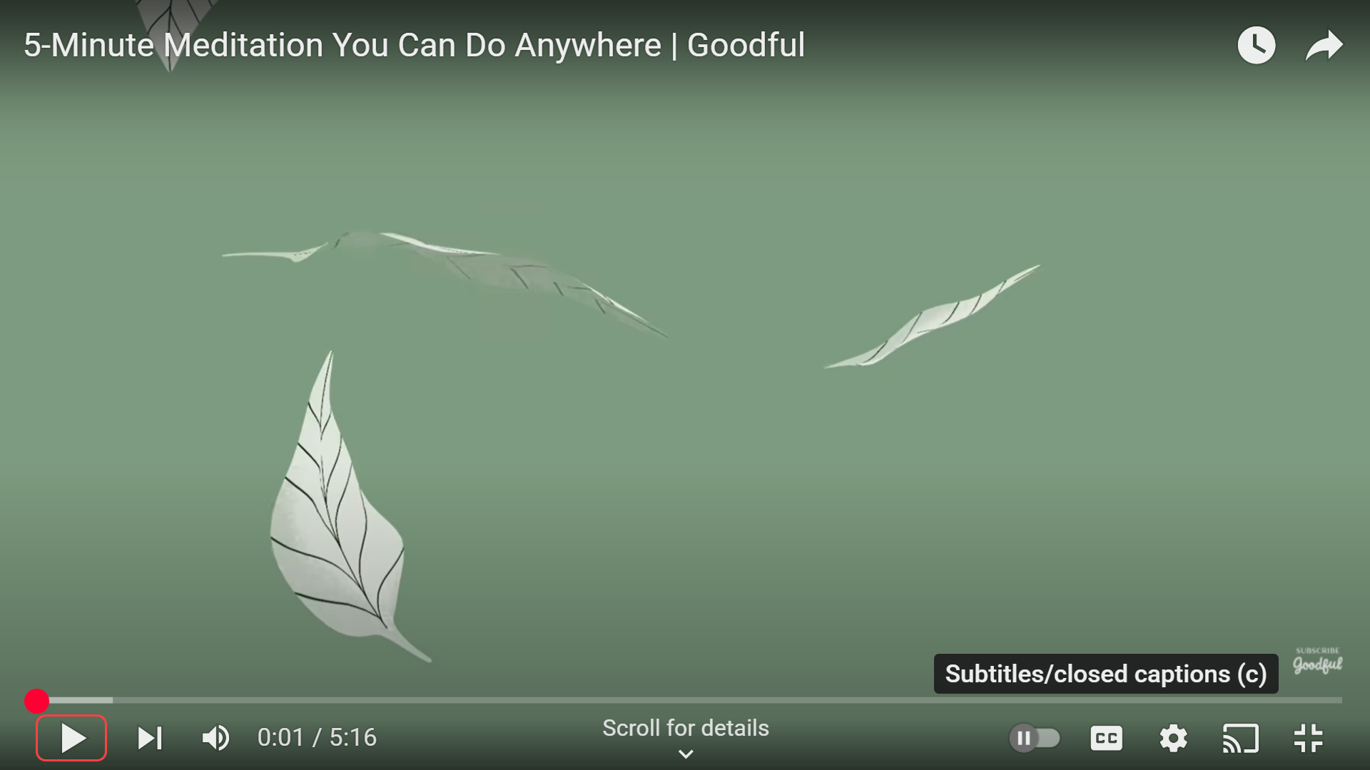 Locate the captions button on the YouTube video player