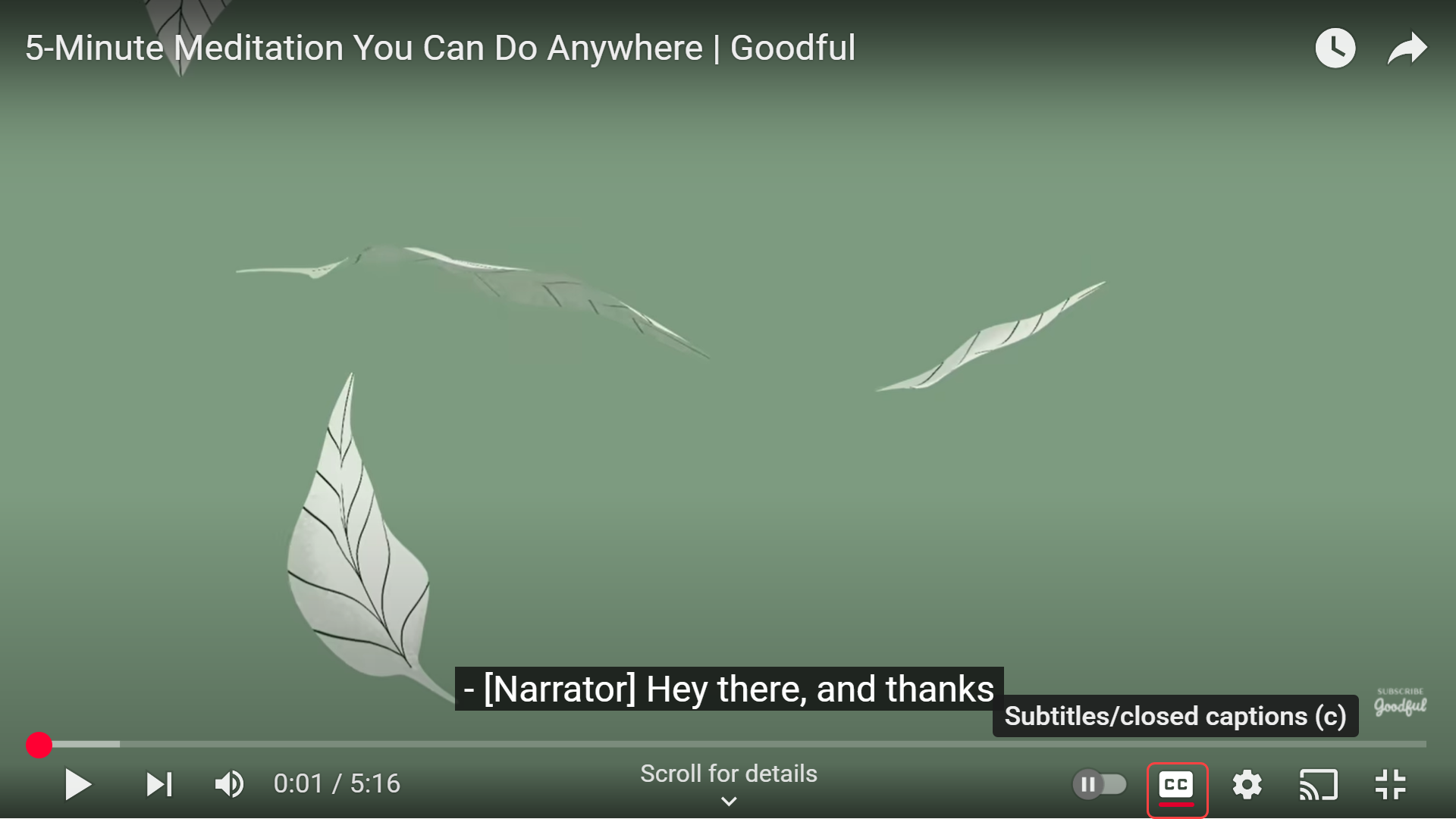 Click the 'CC' button to turn on captions